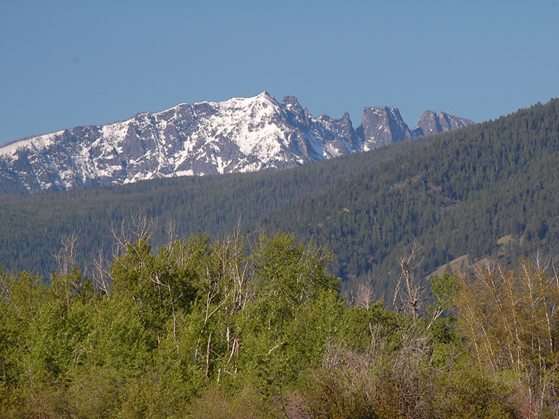 Florence West Montana Homes