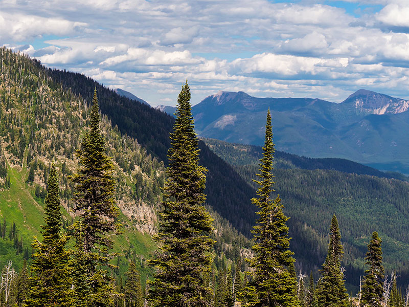 Hungry Horse West Montana Homes
